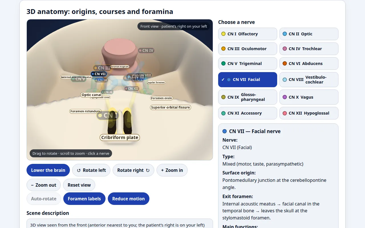 Screenshot of 12 Cranial Nerves in 3D — Lesion Simulator